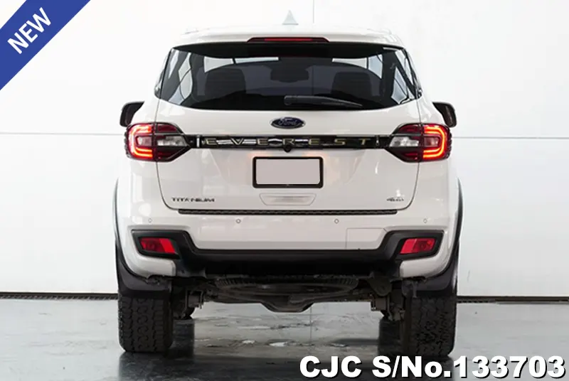 2019 Ford / Everest Stock No. 133703