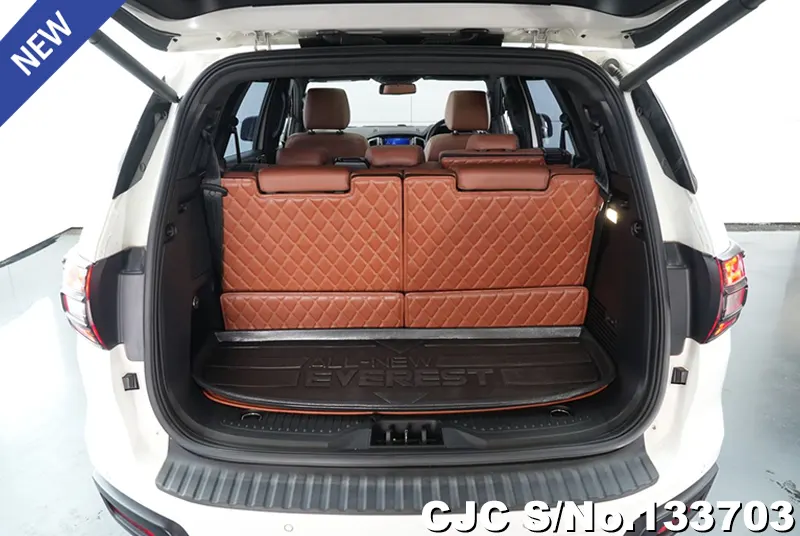 2019 Ford / Everest Stock No. 133703