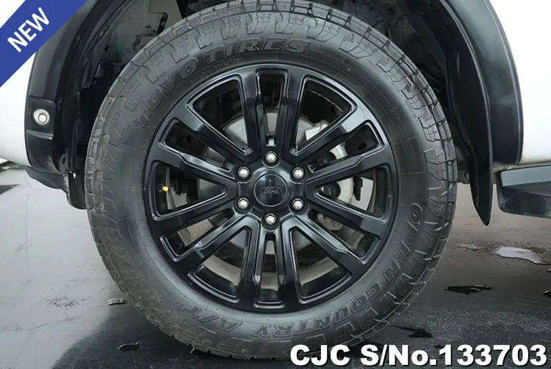 2019 Ford / Everest Stock No. 133703