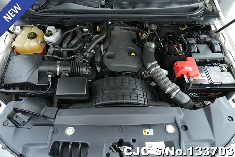 2019 Ford / Everest Stock No. 133703