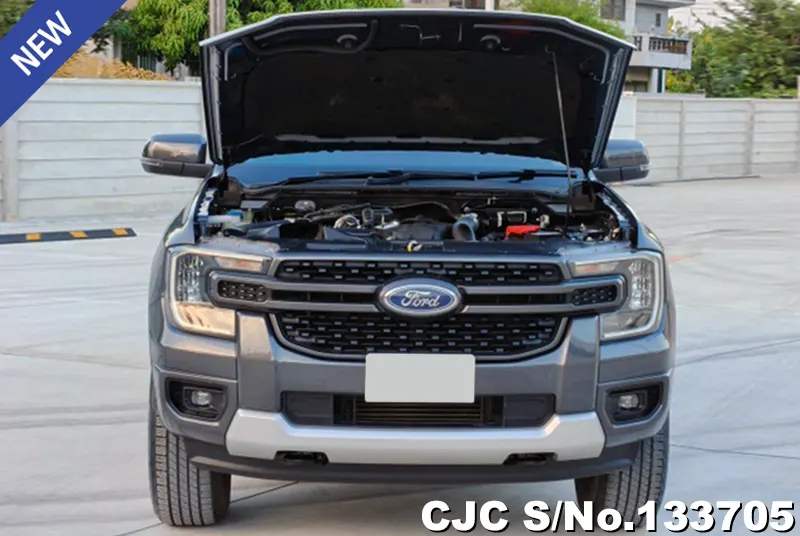 Ford Ranger in Gray for Sale Image 9