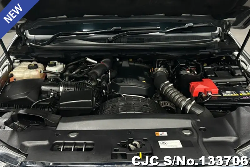 2018 Ford / Everest Stock No. 133706