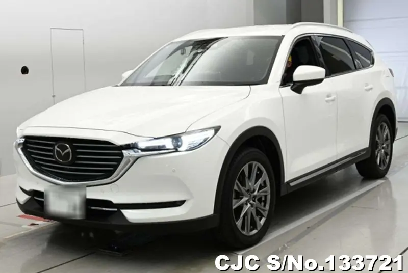 2018 Mazda / CX-8 Stock No. 133721