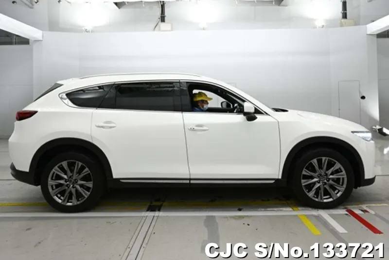 2018 Mazda / CX-8 Stock No. 133721