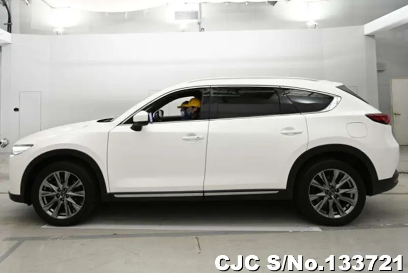 2018 Mazda / CX-8 Stock No. 133721