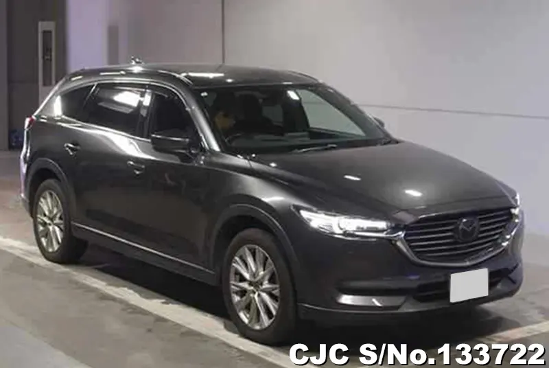 2018 Mazda / CX-8 Stock No. 133722