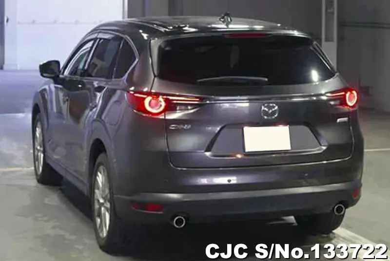 2018 Mazda / CX-8 Stock No. 133722