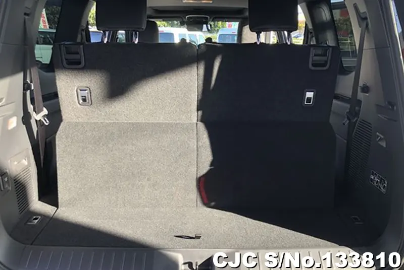 2025 Toyota / Land Cruiser Stock No. 133810