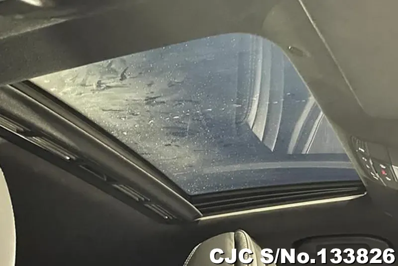 2019 Mercedes Benz / CLS Class Stock No. 133826