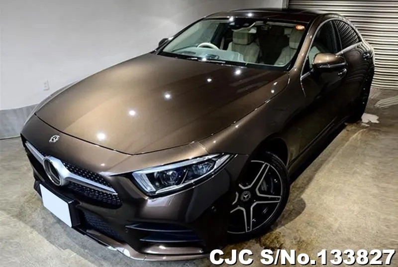 2019 Mercedes Benz / CLS Class Stock No. 133827