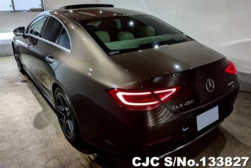 2019 Mercedes Benz / CLS Class Stock No. 133827