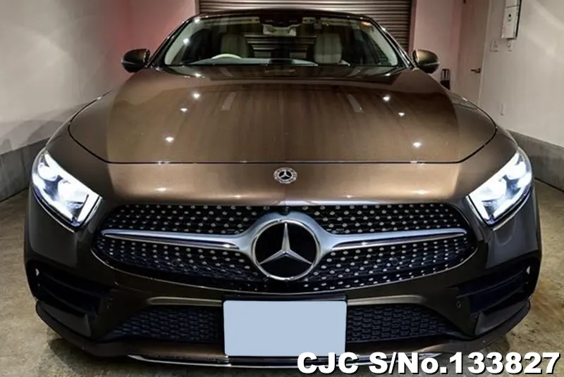 2019 Mercedes Benz / CLS Class Stock No. 133827