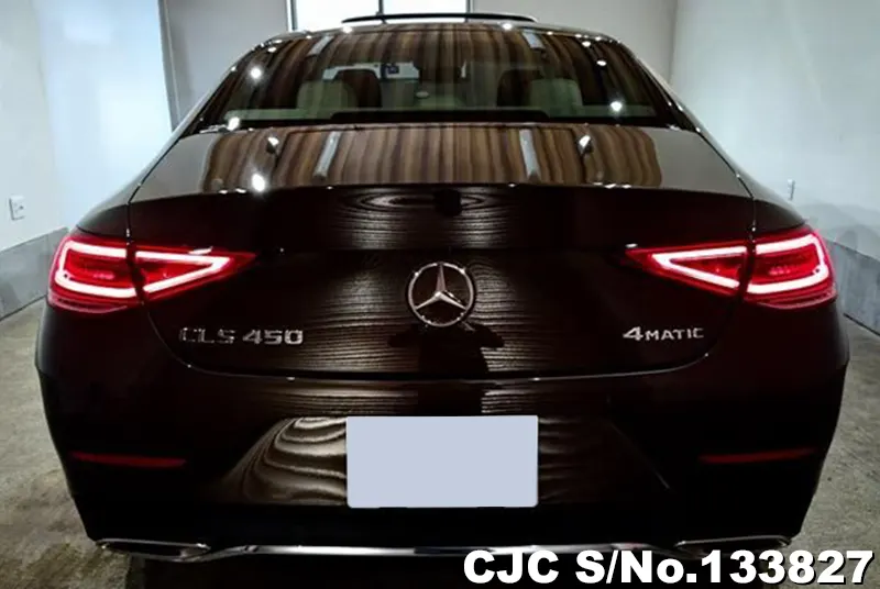2019 Mercedes Benz / CLS Class Stock No. 133827