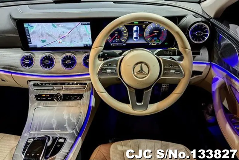 2019 Mercedes Benz / CLS Class Stock No. 133827