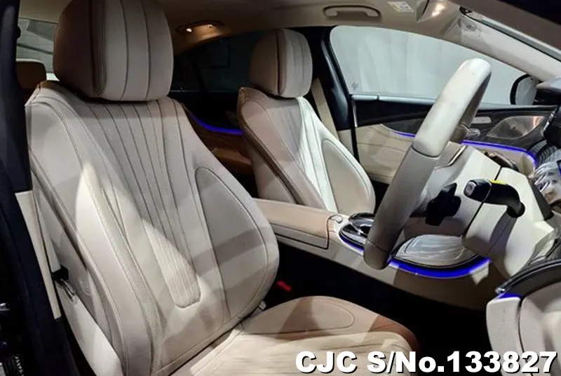 2019 Mercedes Benz / CLS Class Stock No. 133827