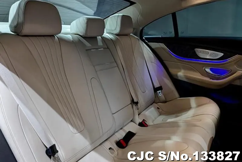 2019 Mercedes Benz / CLS Class Stock No. 133827