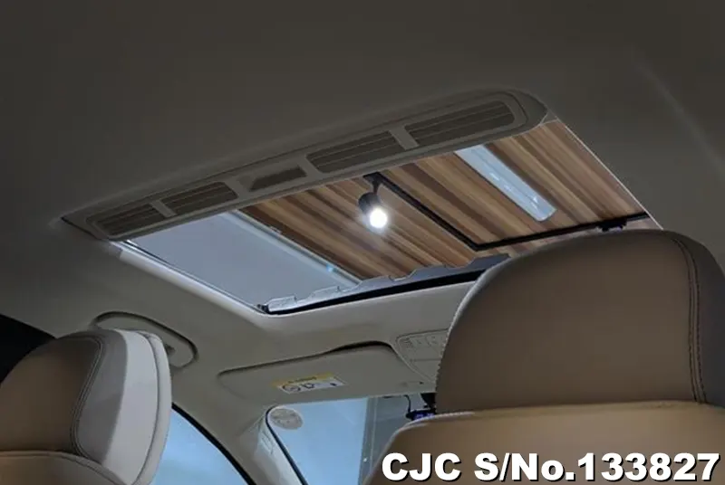 2019 Mercedes Benz / CLS Class Stock No. 133827