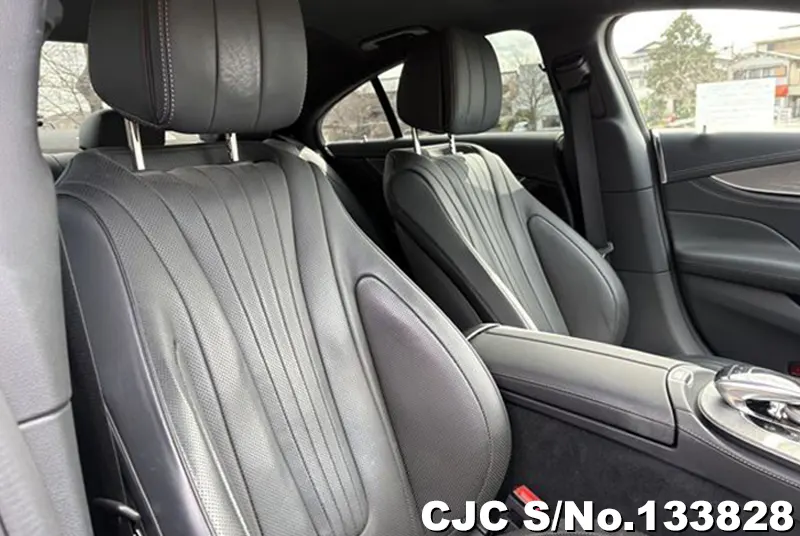 2019 Mercedes Benz / CLS Class Stock No. 133828