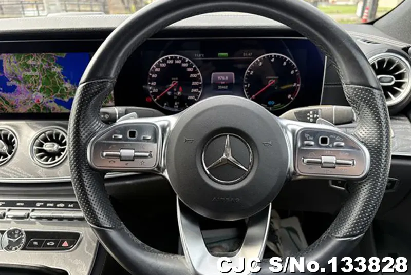 2019 Mercedes Benz / CLS Class Stock No. 133828