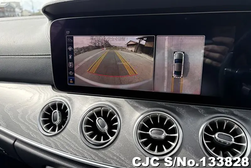 2019 Mercedes Benz / CLS Class Stock No. 133828