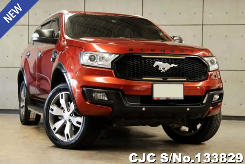 2018 Ford / Everest Stock No. 133829