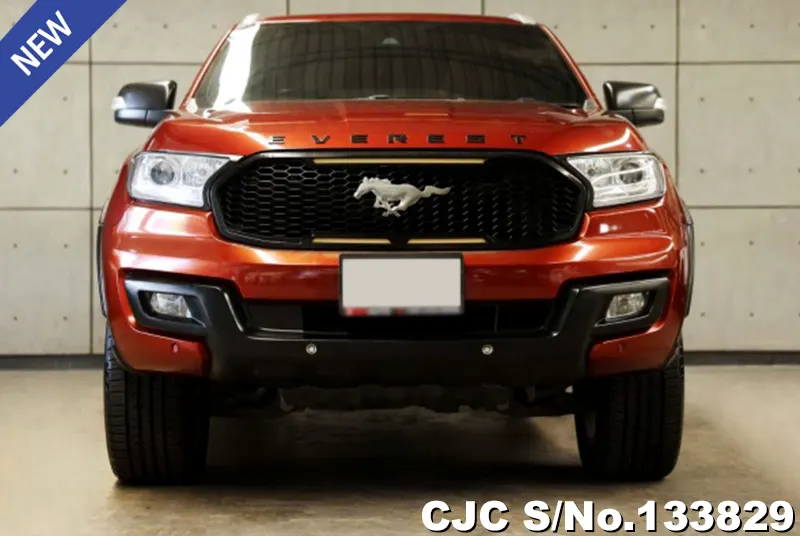 2018 Ford / Everest Stock No. 133829