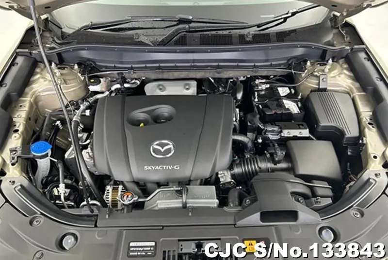 2026 Mazda / CX-5 Stock No. 133843