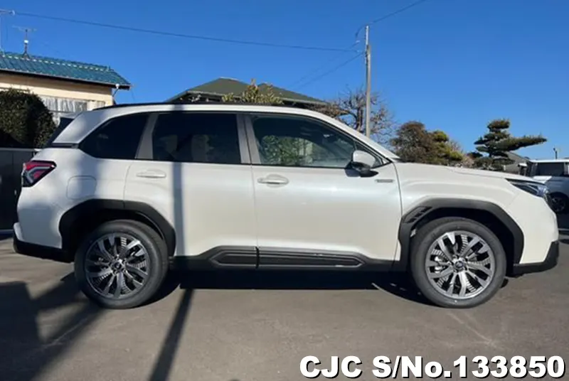 2026 Subaru / Forester Stock No. 133850