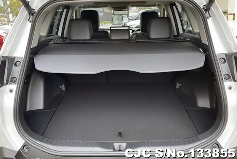 2026 Toyota / Rav4 Stock No. 133855