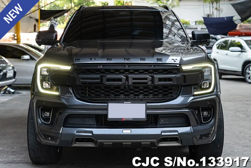 2023 Ford / Everest Stock No. 133917