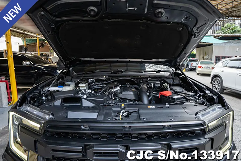 2023 Ford / Everest Stock No. 133917