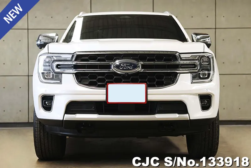 2022 Ford / Everest Stock No. 133918