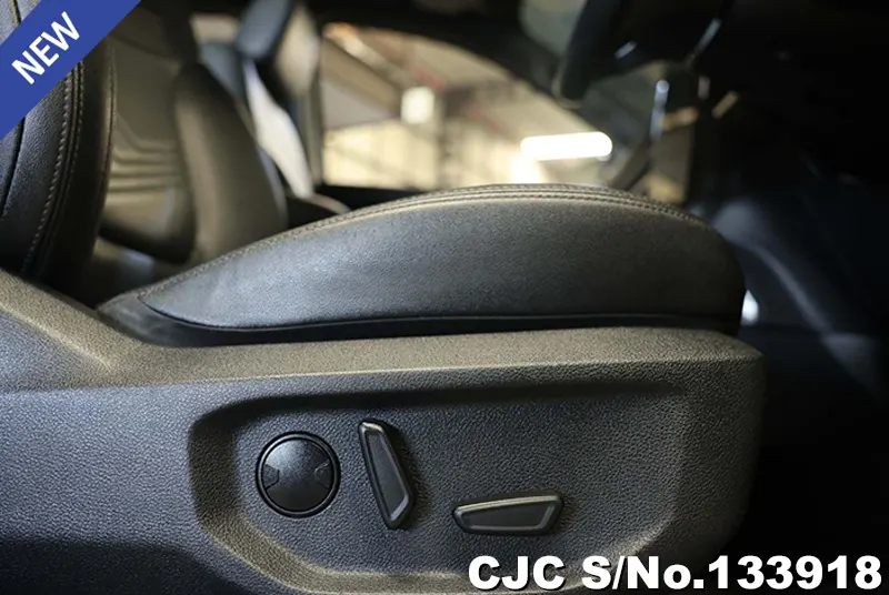 2022 Ford / Everest Stock No. 133918