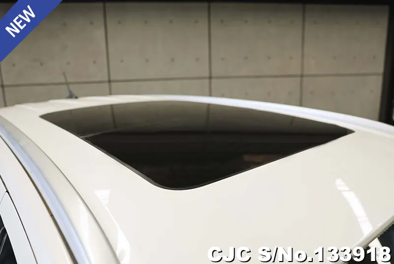 2022 Ford / Everest Stock No. 133918