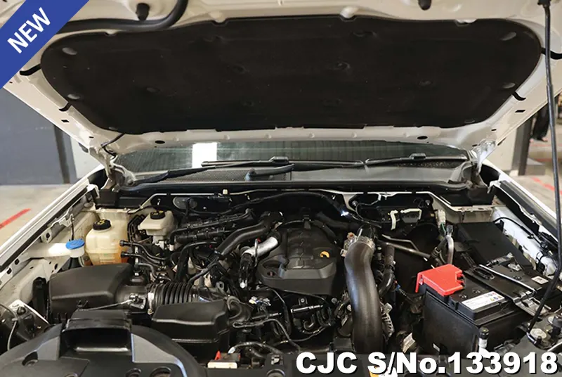 2022 Ford / Everest Stock No. 133918