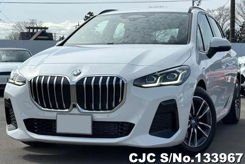 2025 BMW / 2 Series Stock No. 133967