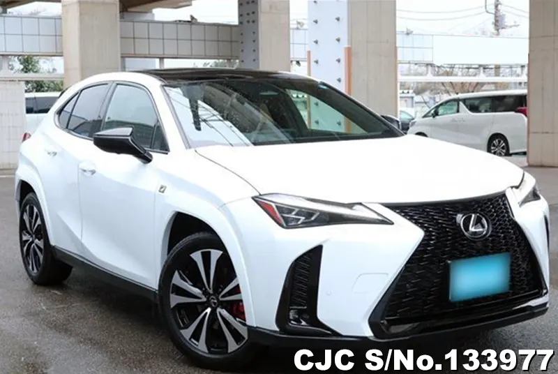 2025 Lexus / UX 300 Stock No. 133977