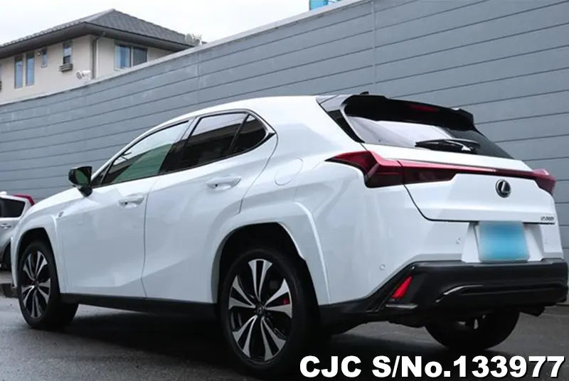 2025 Lexus / UX 300 Stock No. 133977