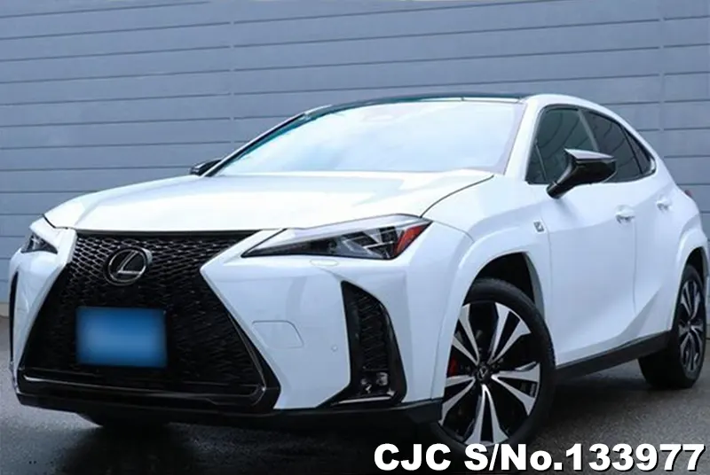 2025 Lexus / UX 300 Stock No. 133977
