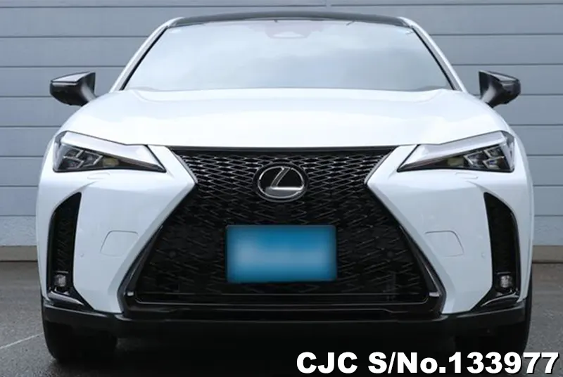 2025 Lexus / UX 300 Stock No. 133977