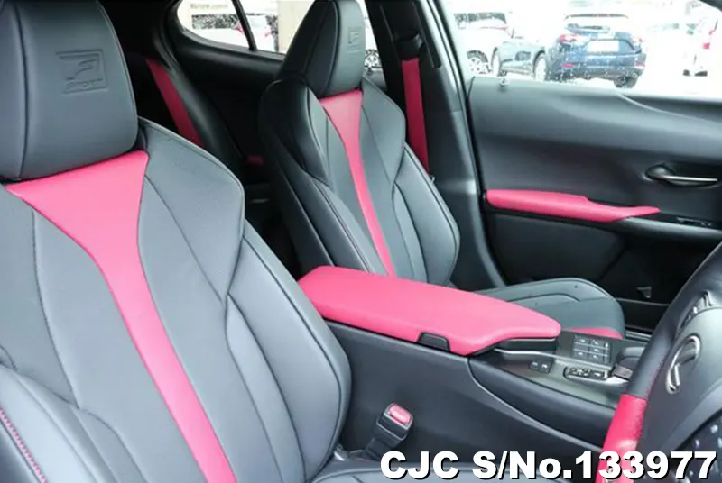 2025 Lexus / UX 300 Stock No. 133977