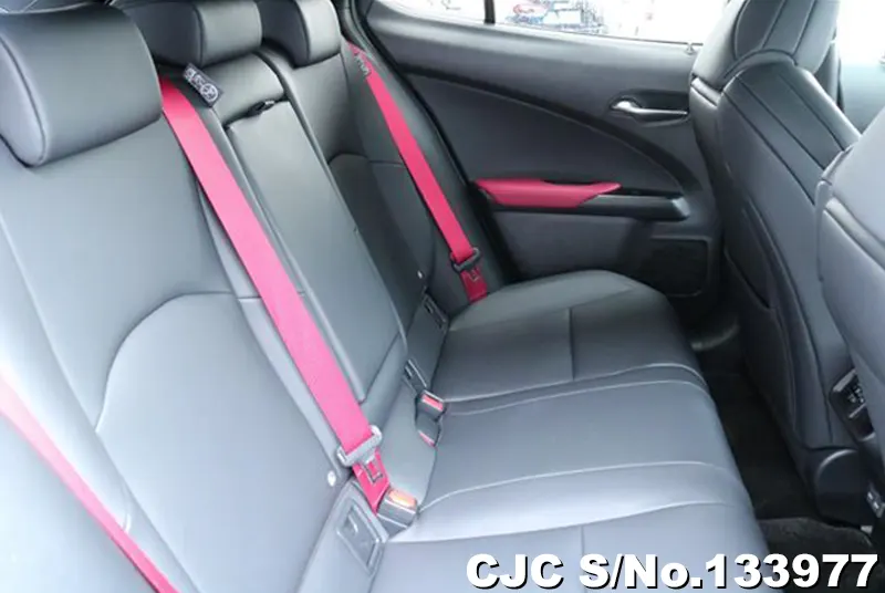 2025 Lexus / UX 300 Stock No. 133977