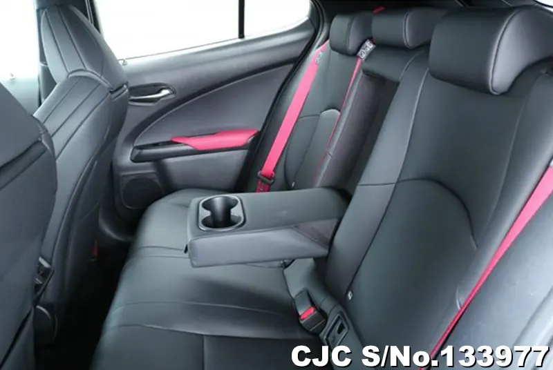 2025 Lexus / UX 300 Stock No. 133977