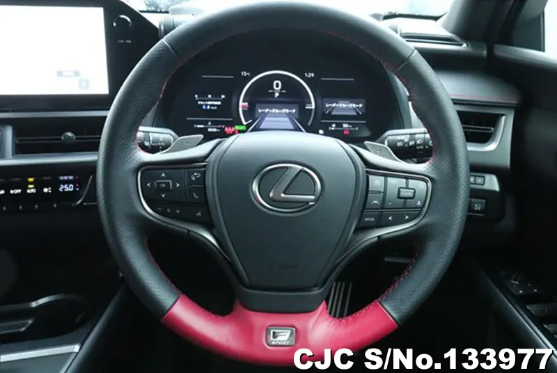 2025 Lexus / UX 300 Stock No. 133977