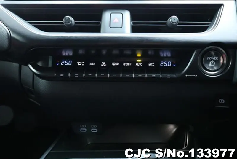 2025 Lexus / UX 300 Stock No. 133977