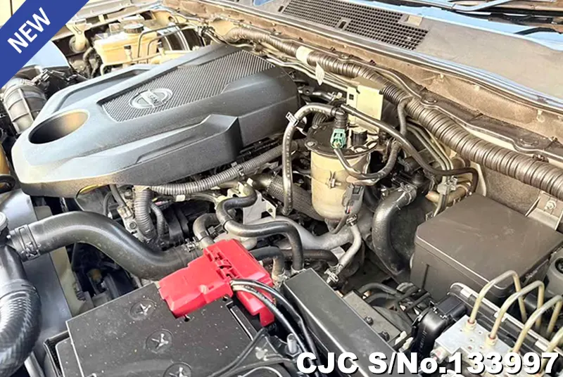 2021 Nissan / Navara Stock No. 133997