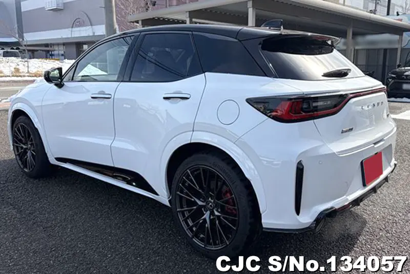 2025 Lexus / LBX Stock No. 134057