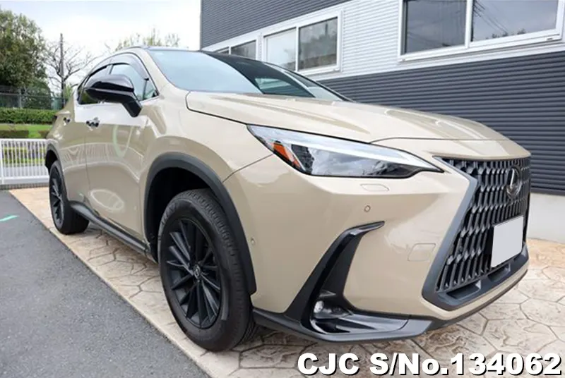 2025 Lexus / NX 350H Stock No. 134062