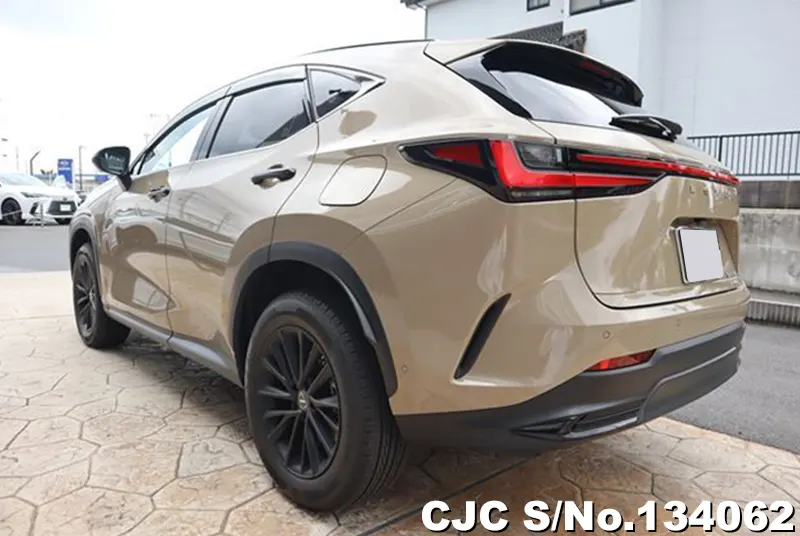 2025 Lexus / NX 350H Stock No. 134062