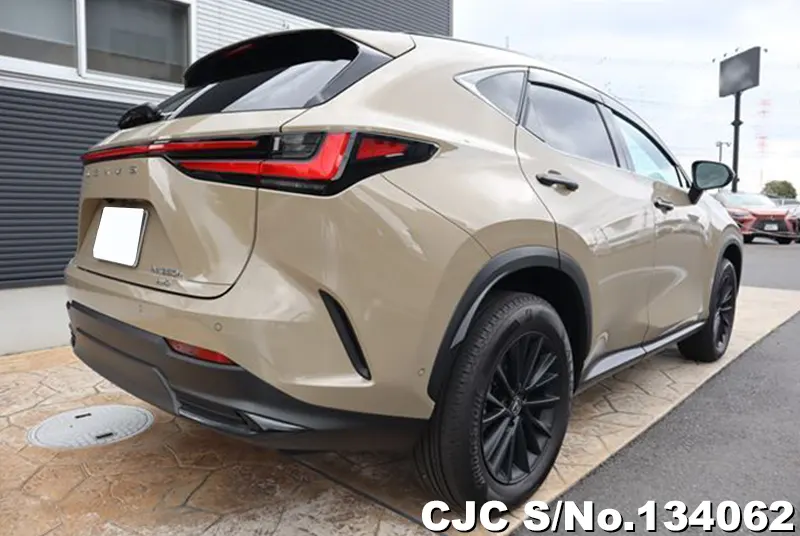 2025 Lexus / NX 350H Stock No. 134062